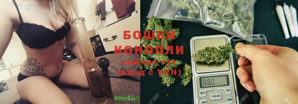 прущие грибы Бородино