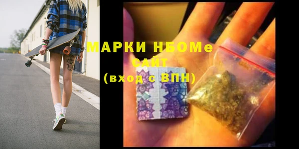 прущие грибы Бородино