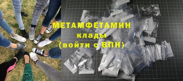 прущие грибы Бородино