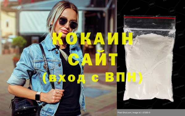 прущие грибы Бородино