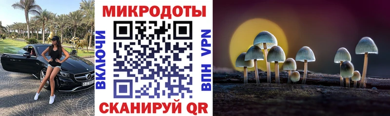 Псилоцибиновые грибы мицелий  наркота  Щигры 